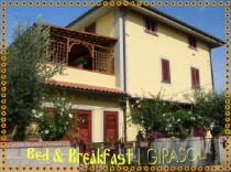 Bed and breakfast I Girasoli, - arena metato