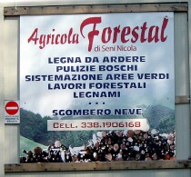 Agricola Forestal, - bosco di corniglio