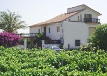 B&B VillaBriseum - ciro' marina